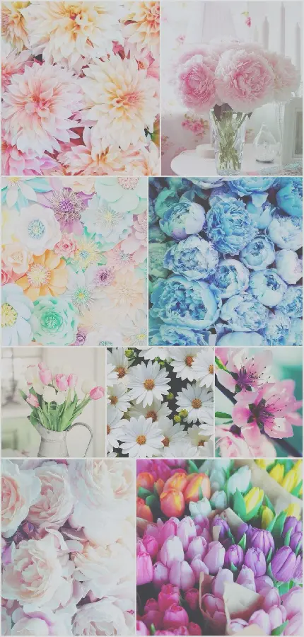 دانلود عکس رایگان چند تکه کلاژ زیباترین گل ها 