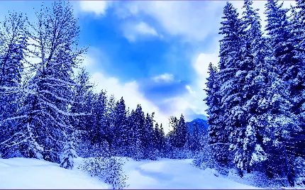 والپیپر رویایی فصل زمستان برای چاپ تابلو 