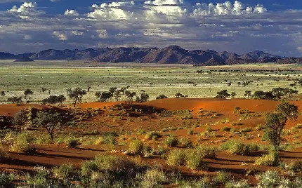 عکس زمینه منظره زیست بوم پارک نامیب-نوکلوفت بیابان Namib Naukluft 