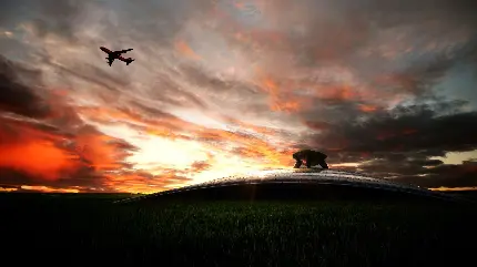 جدیدترین تصویر زمینه پرواز هواپیما در اوج آسمان با کیفیت بالا