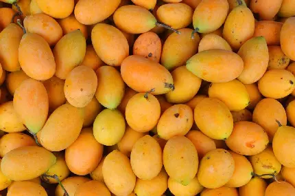 دانلود تصویر انبه mango با پوست صاف به رنگ زرد روشن