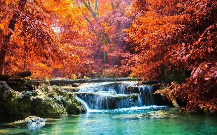 تصویر خارق العاده از زیبایی خلقت آبشار پاییزی 