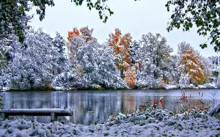 عکس زمینه برکه ی یخی و درختان پوشیده از برف در فصل شگفت انگیز زمستان