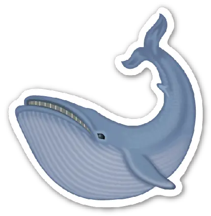 عکس PNG ساده نهنگ دوربری شده آماده چاپ به عنوان استیکر و برچسب 