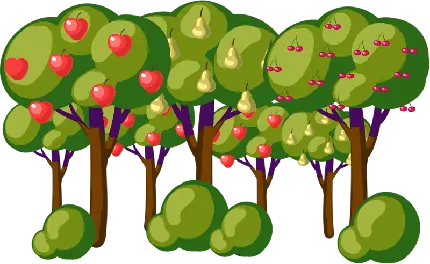 دانلود عکس پی ان جی png رایگان درخت های میوه سیب و گلابی و آلبالو 