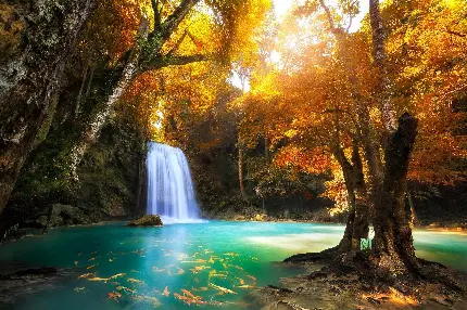 بهترین عکس آبشار کوچک جنگلی با تم فصل پاییز برای پروفایل و والپیپر 