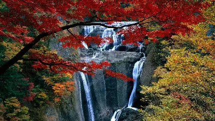 دانلود تصویر استوک آبشار بلند در جنگل خفن پاییزی 