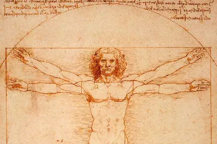 عکس مهم ترین نظریه و کشف لئوناردو داوینچی هنرمند و دانشمند و مخترع ایتالیایی 