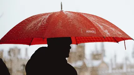 دانلود عکس پروفایل کیوت و عاشقانه چتر بارانی با کیفیت بالا 
