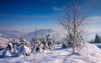 تصویر زمینه زمستانی برفی برای فصل زمستان با بالاترین کیفیت 