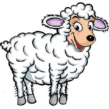 دانلود تصویر نقاشی گوسفند سفید گوگولی و بامزه پی ان جی PNG