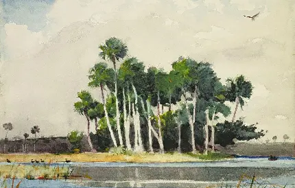 نقاشی رودخانه سنت جان، فلوریدا، پوستر و چاپ 1890 توسط وینسلو هومر