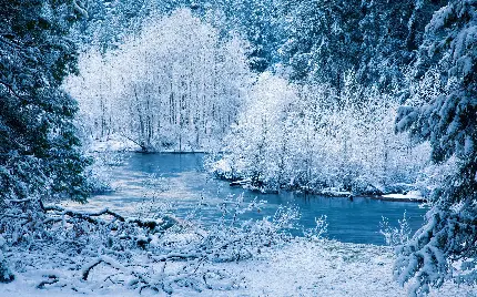 عکس شبیه صحنه های انیمیشن های فانتزی در فصل زمستان 