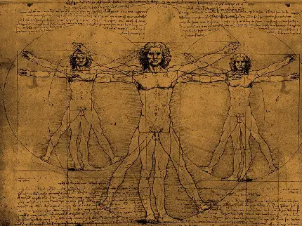 دانلود عکس مشهورترین تئوری اثبات نشده لئوناردو داوینچی 