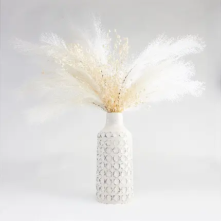 عکس استوک گیاه پامپاس یا ریش پری ارغوانی در گلدان لاکچری سفید