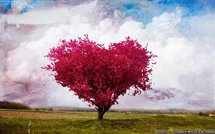 خوشگل ترین پس زمینه درخت قلبی صورتی در منظره سرسبز زیبا