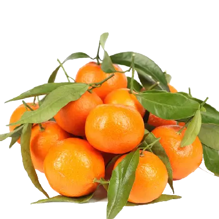 png تصویر نارنگی میوه ای خوشمزه و سالم با طعم شیرین و باطراوت