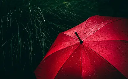 تصویر ساده چتر قرمز بارانی مناسب نوشتن متن 