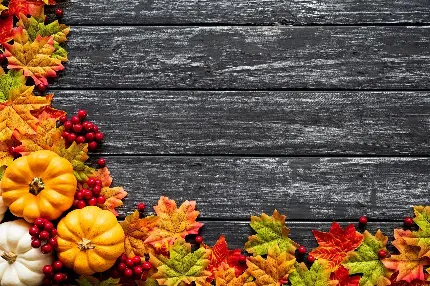 Wallpaper دوست داشتنی از برگ های پاییزی 