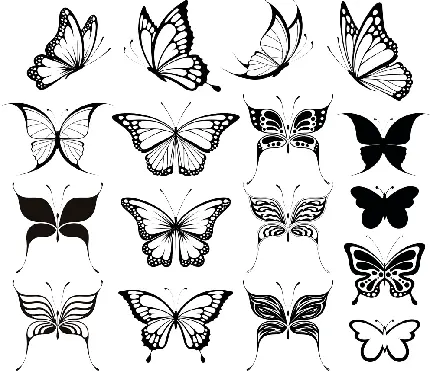 عکس PNG خال کوبی با طرح های مختلف پروانه بدون پس زمینه