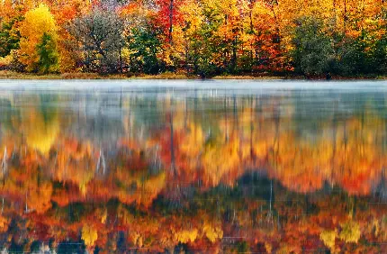 زیباترین عکس صفحه پاییزی با رنگ های گرم و دلنشین 