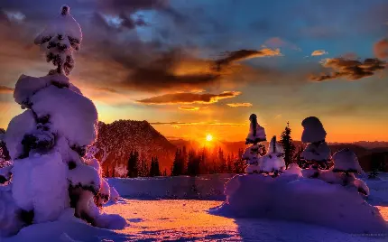 دانلود عکس بسیار زیبا و دیدنی از غروب آفتاب زیبا در فصل زمستان 