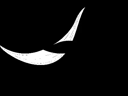 دانلود عکس نهنگ کارتونی‌ ساده بدون پس زمینه و دوربری شده 