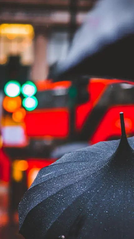 دانلود عکس بسیار جالب  چتر های بارانی زیبا با کیفیت بالا 