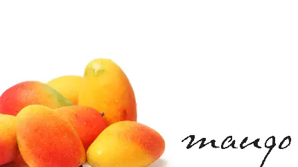 عکس نوشته انبه mango جزء اصلی غذاهای بسیاری از مردم جهان