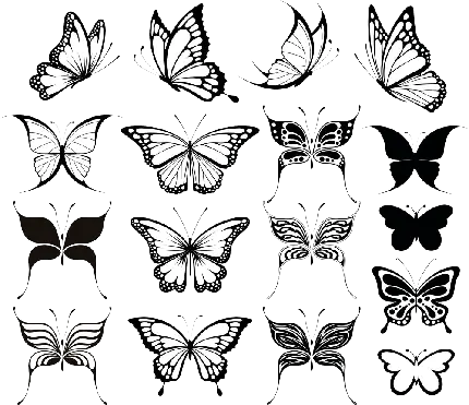 جدیدترین تصویر PNG انواع مختلف طرح پروانه با کیفیت عالی