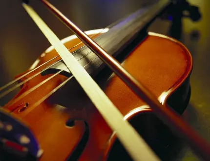 عکاسی هنری ویولن violin کوچک‌ترین عضو سازهای زهی آرشه‌ای 
