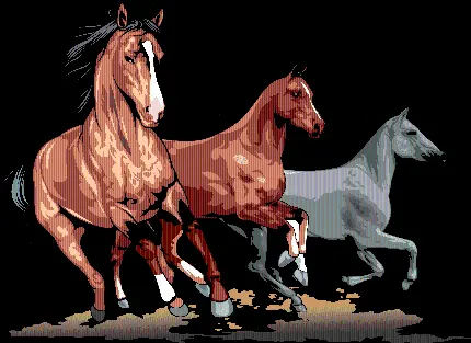 تصویر فول اچ دی و دور بریده شده انواع اسب های زیبا با رنگ های مختلف 
