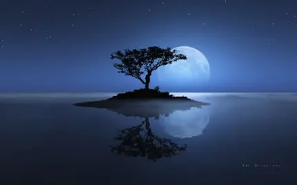دانلود عکس پروفایل تک درخت زیر نور ماه مناسب Telegram