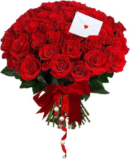 زیباترین عکس گل رز قرمز