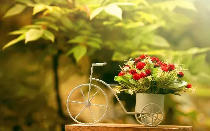 تصویر زمینه با کیفیت اچ دی از منظره دوچرخه و گل قرمز