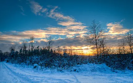 چشم انداز خاص و دیدنی طبیعی فصل زمستان هنگام طلوع آفتاب 