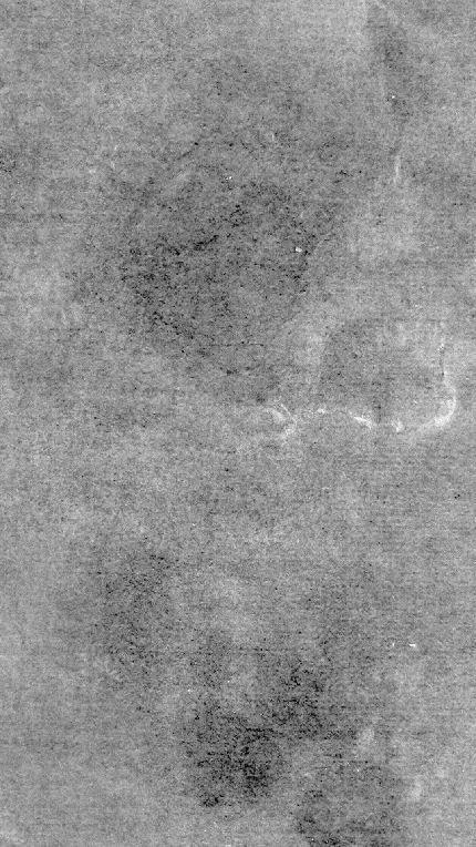 عکس طوسی برای پروفایل