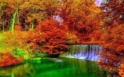 تصویر آبشار رویایی و خفن در جنگل پر درخت پاییزی HD 