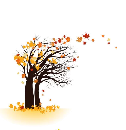 دانلود عکس PNG درخت پاییزی دوربری شده و بدون پس زمینه رایگان 