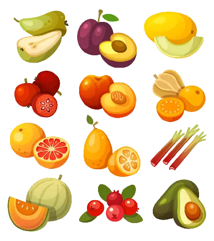 عکس نقاشی طالبی و سایر میوه های خوشمزه در فرمت پی ان جی