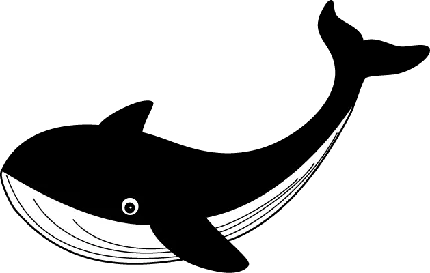 دانلود عکس پی ان جی PNG نهنگ سفید مشکی کیوت و خاص 