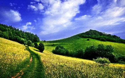 تصویر استوک از طبیعت با منظره چمن زارها و تپه های سبز
