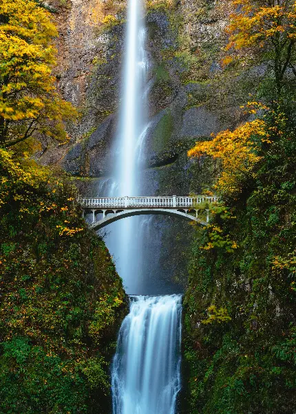 مناظر رویایی آبشار جوشان آرامش دهنده در جنگل بی صدای خشک پاییزی 