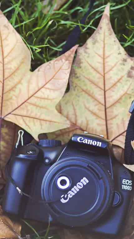 تصویر زمینه و پروفایل دوربین عکاسی با تم پاییزی مخصوص پسر ها و دختر های عکاس 