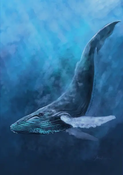 پس زمینه نهنگ اسپرم در عمق‌های بیشتر دریا قطب شمال و اقیانوس