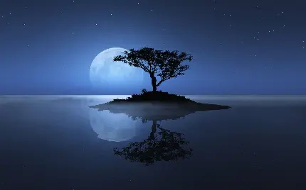 خوشگل ترین تصویر زمینه درخت تنها در شب با ماه کامل نورانی