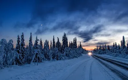 دانلود رایگان عکس طبیعت زمستانی از جاده و درخت های سفید پوش 