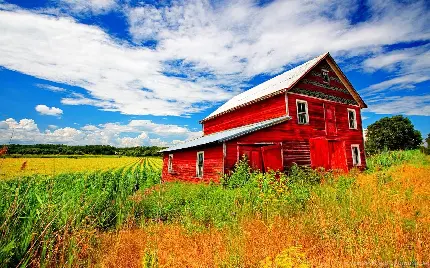 تصویر زمینه انبار غله با دیوار های سرخ رنگ وسط مزرعه سرسبز