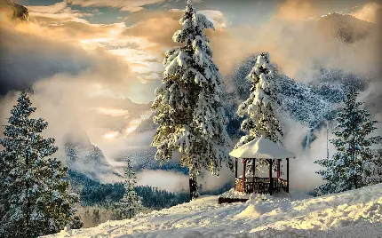 دانلود شیک ترین والپیپر طبیعت زیبا و دلنواز با طرح زمستانی 