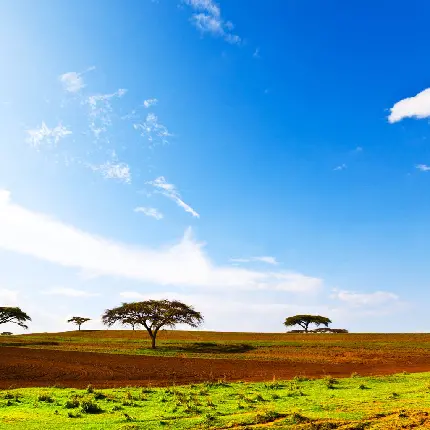 بکگراند گستره‌های بایر زمین کشور اتیوپی در شاخ آفریقا